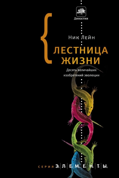 Лестница жизни