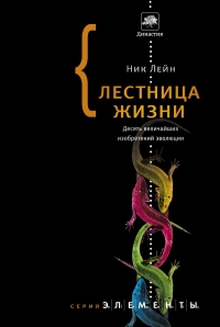Лестница жизни