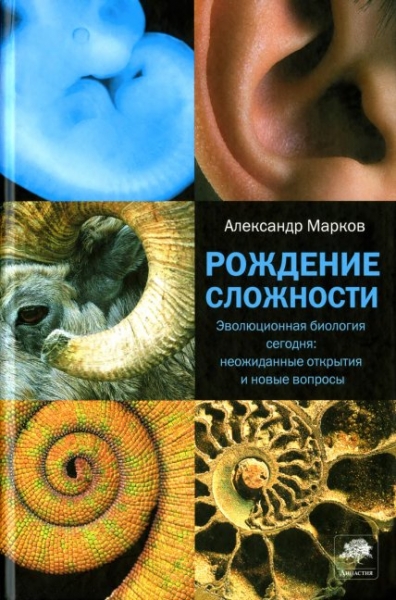 Рождение сложности