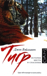 Тигр