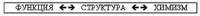 Вибрационная медицина