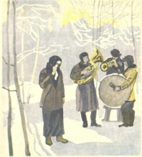 Снежные поля