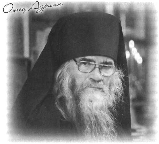 &quot;Ведро незабудок&quot; и другие рассказы