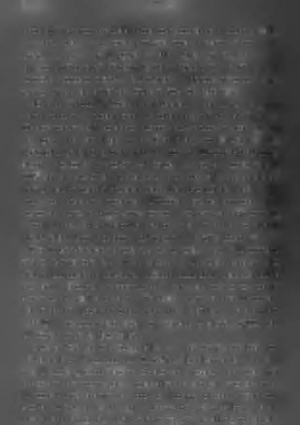 Илон Маск. Tesla, SpaceX и дорога в будущее