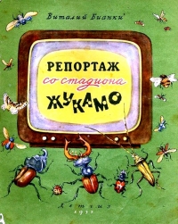 Репортаж со стадиона Жукамо