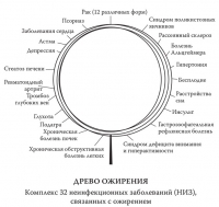 Человеческий суперорганизм
