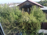 Этой зимой нам всем нужен снег
