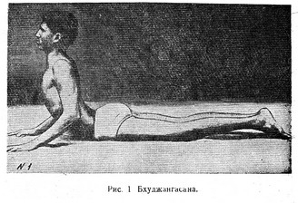 Санкхья и йога