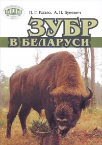 Зубр в Беларуси