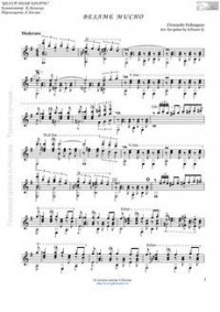 Besame Mucho (Переложение А. Носова)