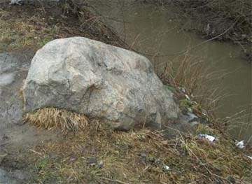 Рыбка в пруду