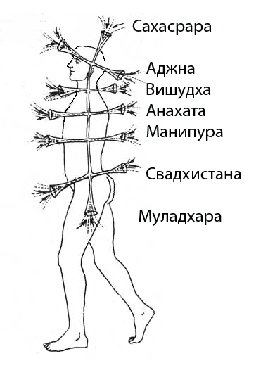«Принцип действия» человека. Тайные возможности
