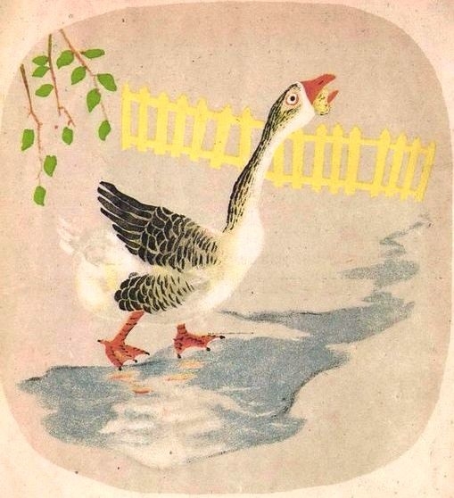 Умные животные