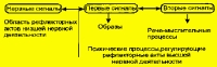 Психика и реальность