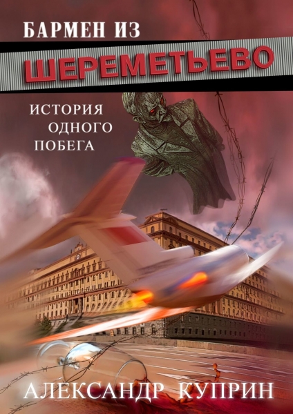 Бармен из Внуково